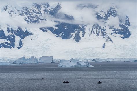 Antarctica Photography Expedition 2021 & 2022 with Daniel...