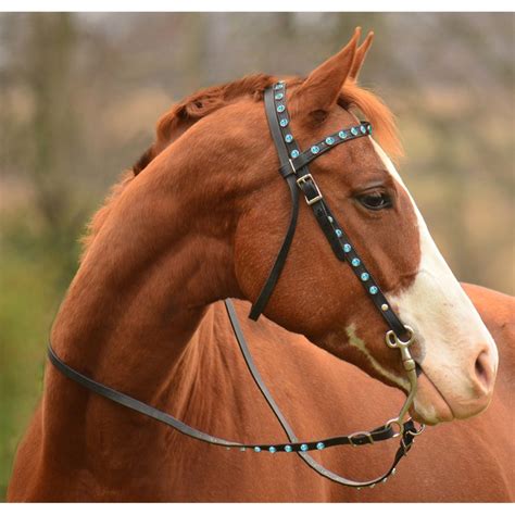 Types of bridle - Best Horse Gears