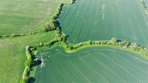 Aerial View of Green Grass Field · Free Stock Photo