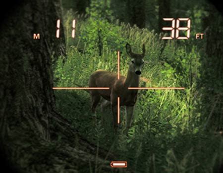 6 Best Hunting Games For PC - TechShout