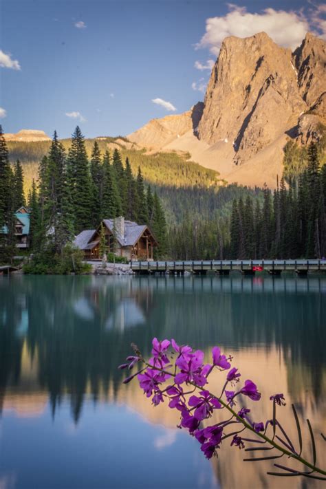 Emerald Lake in Canada: 20 Things to KNOW (Yoho, British Columbia)