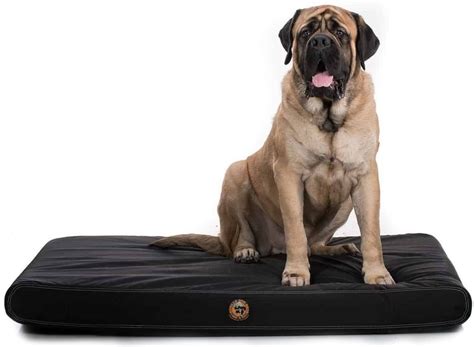 Chew-Proof Dog Beds | Tear-Resistant Dog Beds for Sale