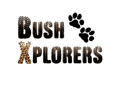 Kruger Park Tours – Bush Xplorers