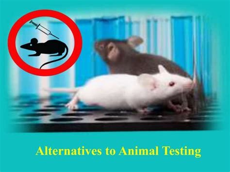 Alternatives to animal experiments