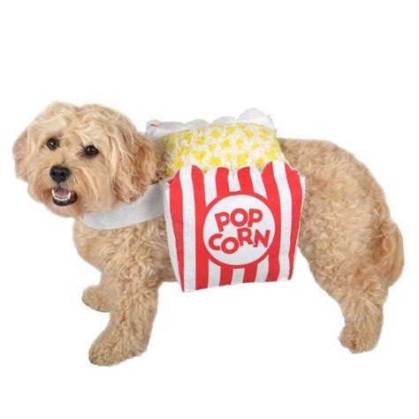 20+ Cute Dog Halloween Costumes - Food Inspired Costume Ideas for Dogs ...