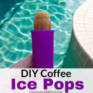 DIY Coffee Ice Pops > From Under a Palm Tree