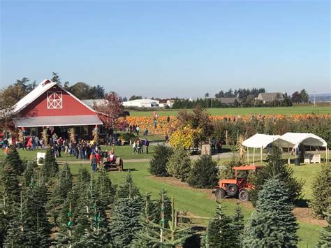 Stoney Ridge Farm – The farm that is fun for the family.