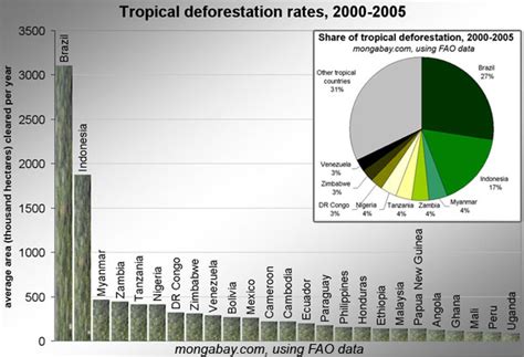 Deforestation: The Leading Cause of CO2 Emissions