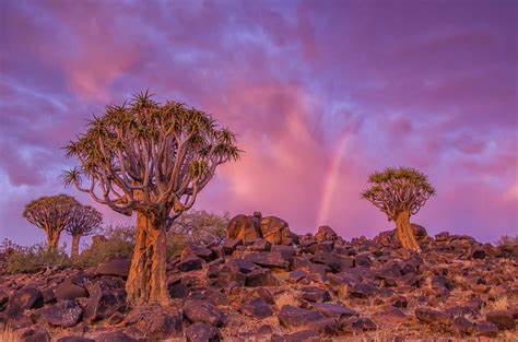 Namibia: Mecca for Landscape Photographers - Penda Photo Tours