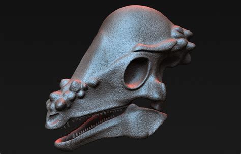 3D pachycephalosaurus skull - TurboSquid 1228853