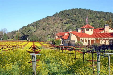 Napa Valley Lodge, a boutique hotel in Napa Valley - Page