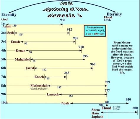 Genesis 5 Chart of Patriarch Ages from Adam to Noah including ...