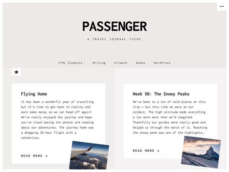 Passenger | Themes Hunt