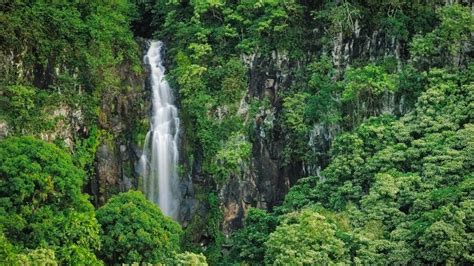 Wailua Falls, Kipahulu District, Hana Coast, Maui, Hawaii, USA | Windows Spotlight Images