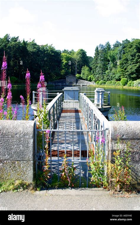 Mugdock Reservoir Milngavie Scotland Stock Photo - Alamy