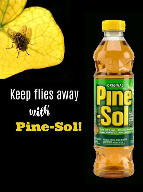 Homemade Fly Repellent with Pine Sol - Keep Flies Away with Pine Sol | Keep flies away, Fly ...