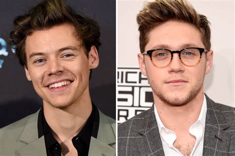 Harry Styles and Niall Horan Reunite at We Can Survive Benefit Concert - Teen Vogue