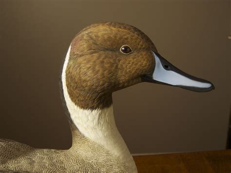 Pintail duck (detail) decoy carving by Jean Brunette | Decoy carving, Bird carving, Duck decoys