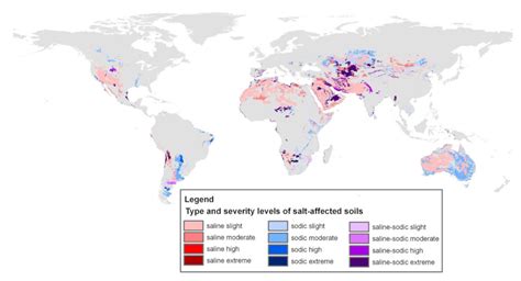 Salinisation des sols - Encyclopédie de l'environnement