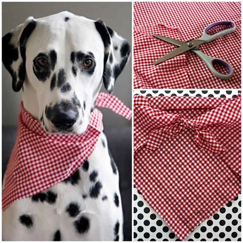 DIY Dog Bandanas For Your Stylish Pooch!