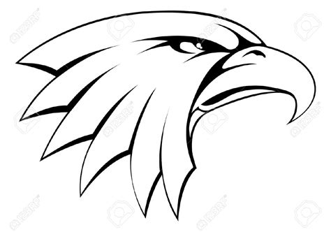 Hawk Head Drawing at GetDrawings | Free download