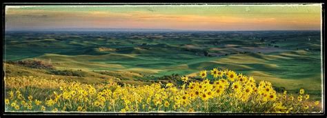 Palouse Photography Tours: Palouse Photography Tours Photos