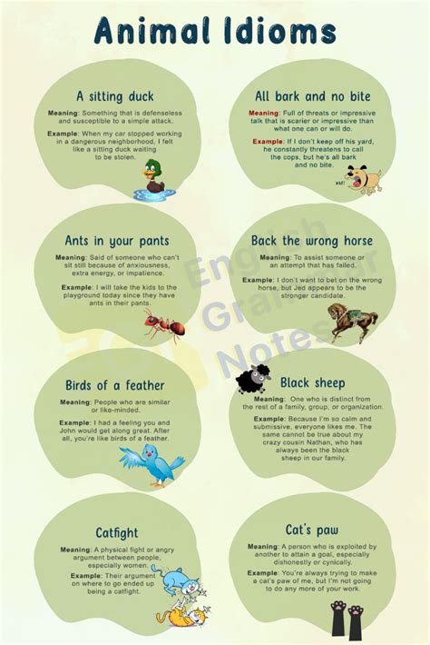 Animal Idioms With Meaning and Examples | Idioms, English idioms ...