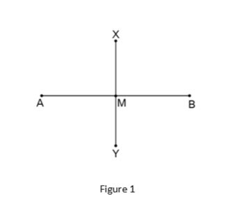 Segment Bisector Geometry