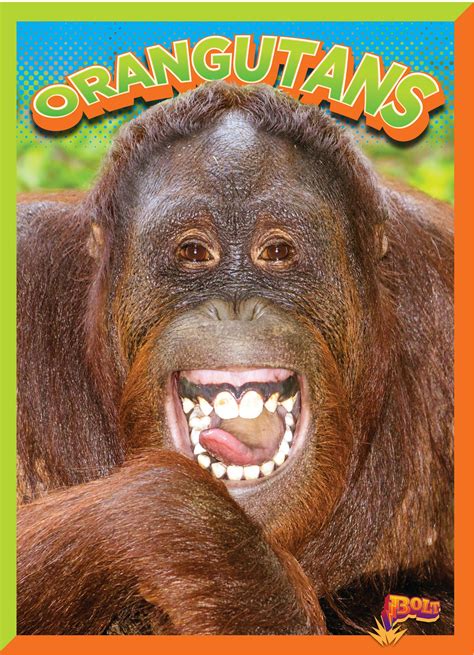 Wild Animal Kingdom: Orangutans (Paperback) - Walmart.com - Walmart.com