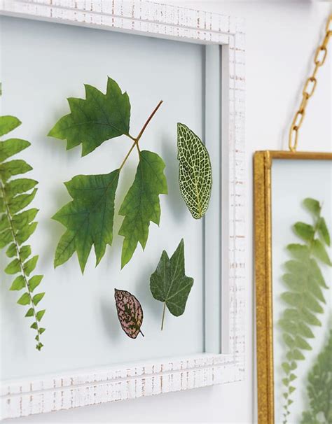 DIY: Pressed-leaf wall art | Canadian Living