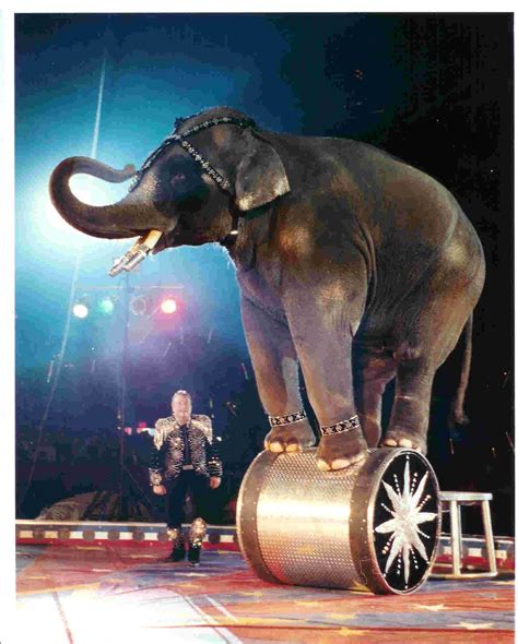 The Spectacular Shrine Circus Returns to Metro Detroit March 18-21 | Vintage circus posters ...