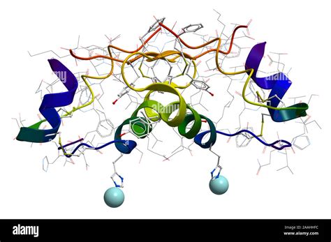 Insulin molecule hi-res stock photography and images - Alamy