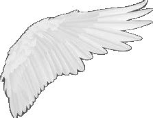 Vector realistic angel wings isolated on transparent background Stock ...