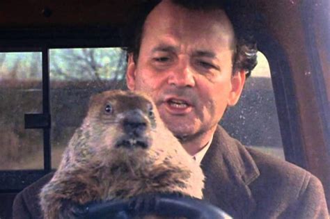 Is Groundhog Day the film on TV today and where can you watch it? | Metro News