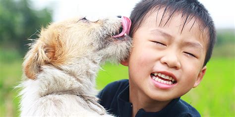 Kids and Pets: A Pediatrician's Tips | Sutter Health