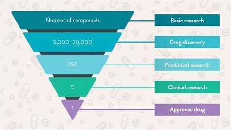 Exploring the Drug Development Process | Technology Networks