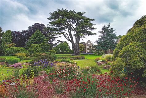 Nymans, Sussex, UK | Romantic garden, Sussex gardens, Manor garden