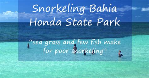 Snorkeling Bahia Honda State Park - Beach And Boat Options