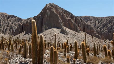 Top Things To Do and See in Salta, Argentina