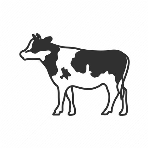 Black and white cow, cow, dairy, four legged animal, mammal, milk ...