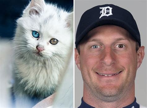 As Max Scherzer goes for win No. 14, let's look at 14 athletes and cats with heterochromia | MLB.com