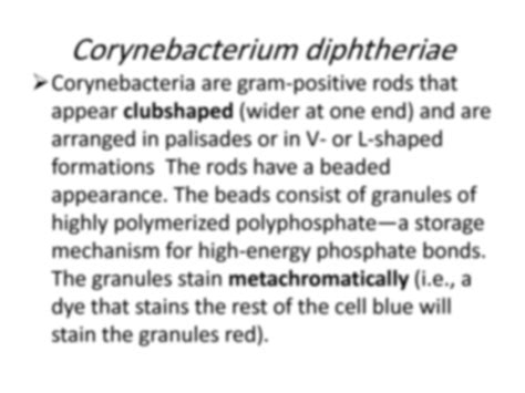 SOLUTION: Non spore forming gram positive rods - Studypool