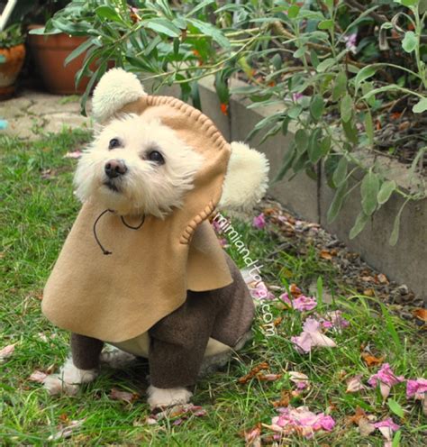 Easy Ewok Dog Costume Patterns - Free to Download - Mimi&Tara