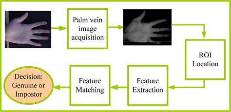 Review of palm vein recognition - Wu - 2020 - IET Biometrics - Wiley ...