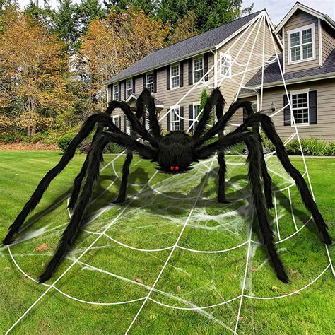 Gallery Of Giant Spiders