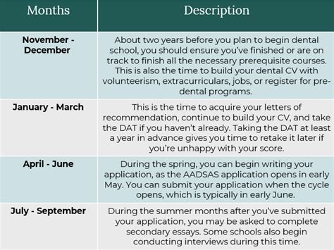 Dental School Application Timeline: The Complete Guide