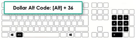 $ How to Type Dollar Symbol on Keyboard - How to Type Anything