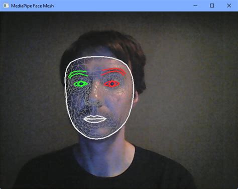 GitHub - chewac/face_mesh: face mesh