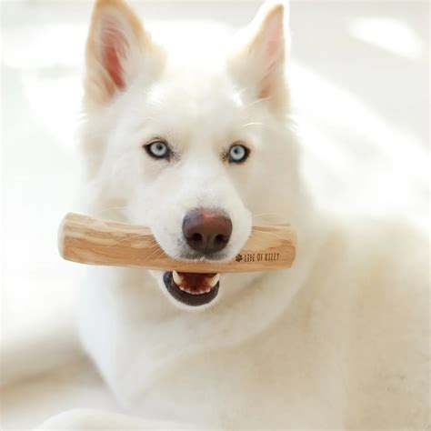 Natural Dog Chew Sticks // Coffee Wood Chew,100% Natural - Best Dog Toys - Manufacturer From ...