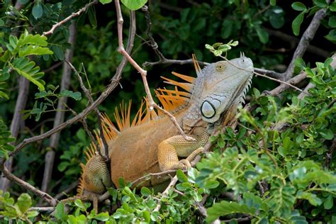 Palo Verde National Park Top Tours and Tips | experitour.com